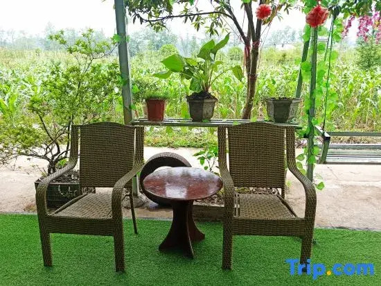 Shangli ancient town water bay green home stay