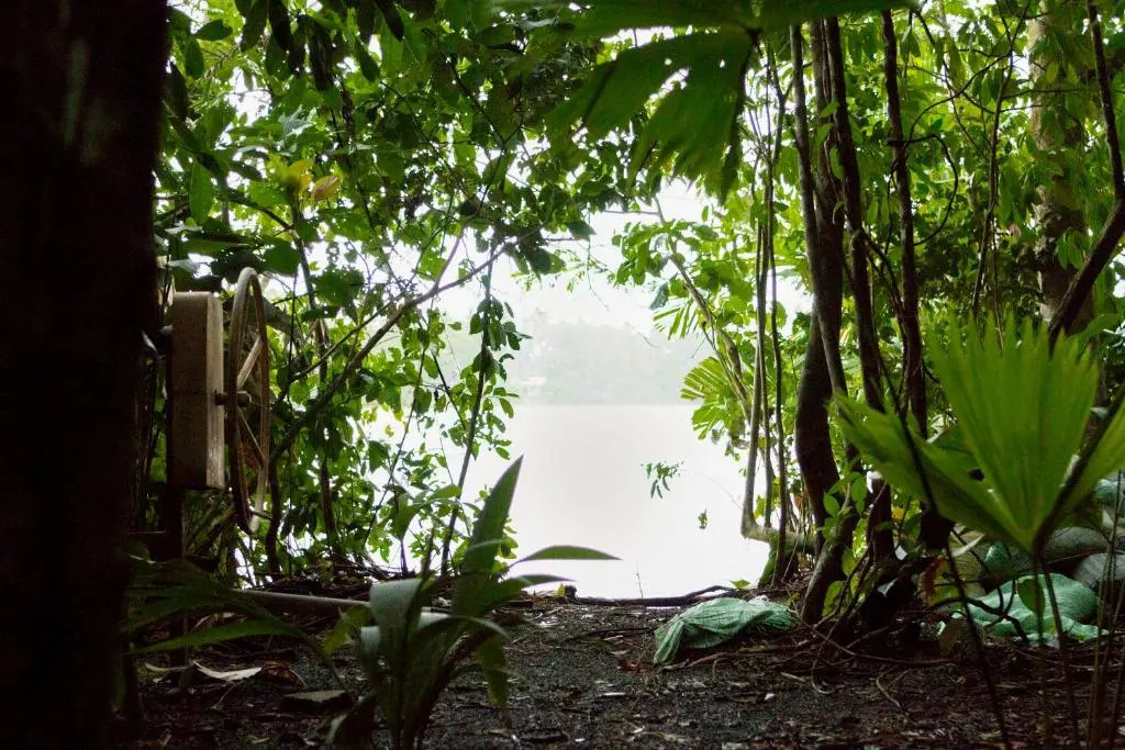 Pachira Lodge