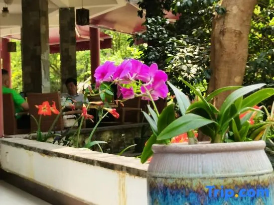 Guangzhou Yijiangnan Homestay