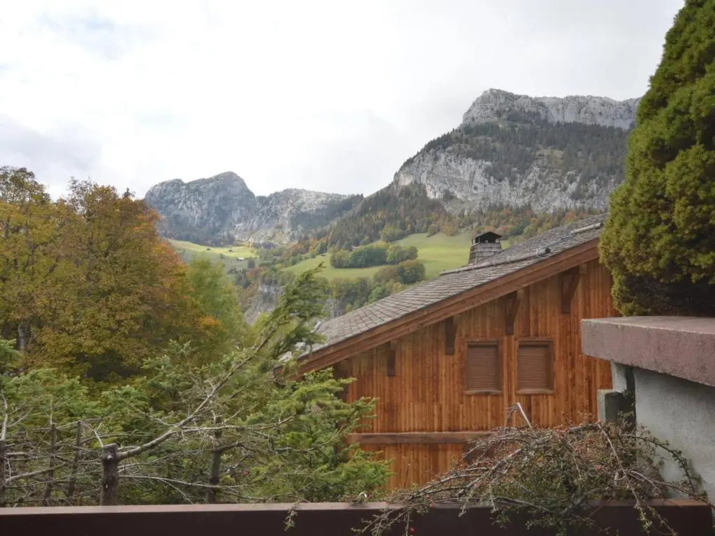 Appartement Le Grand-Bornand, 1 pièce, 4 personnes - FR-1-241-173