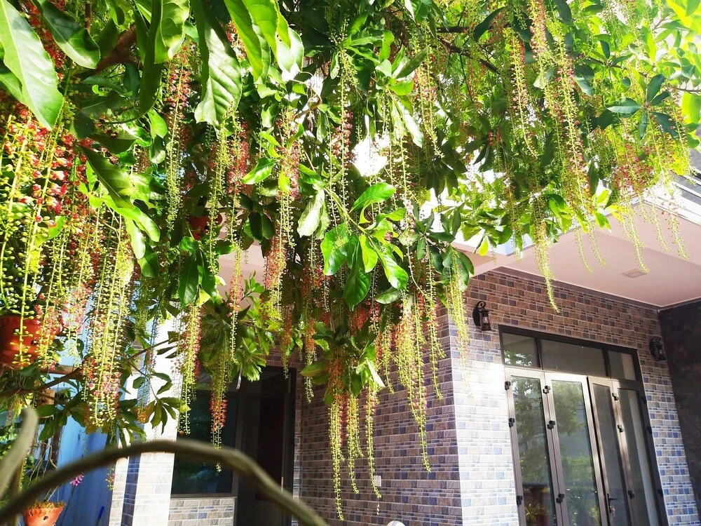 Loren Homestay