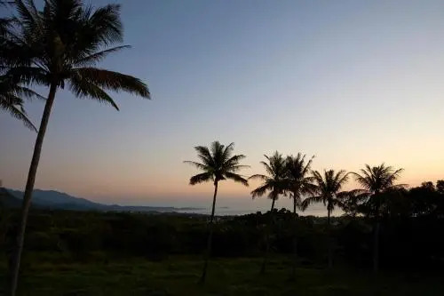 Paradise Hour B&B