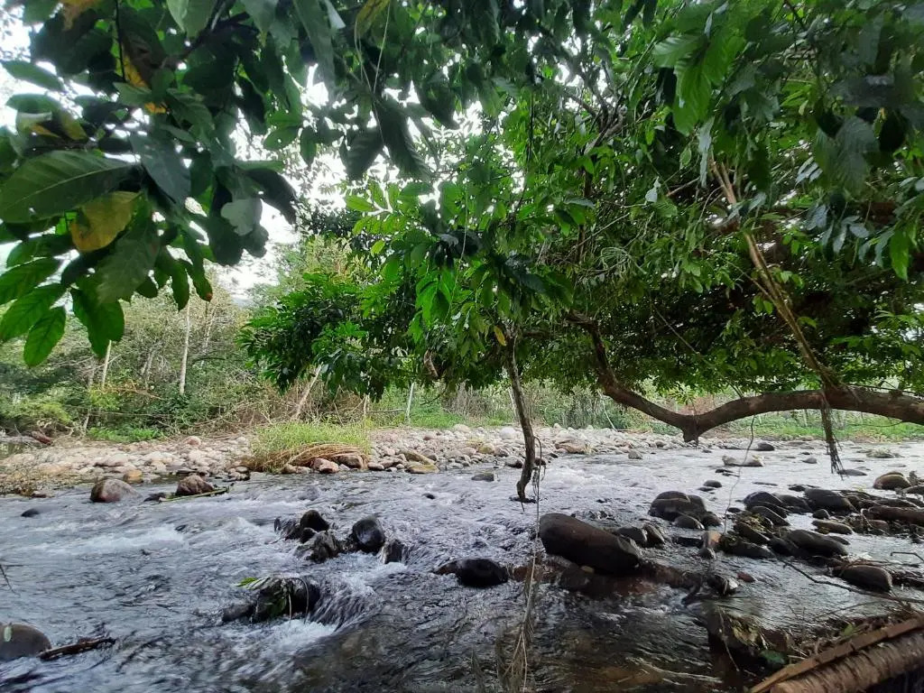 Chalé c/cachoeira a 17 minutos de carro da praia