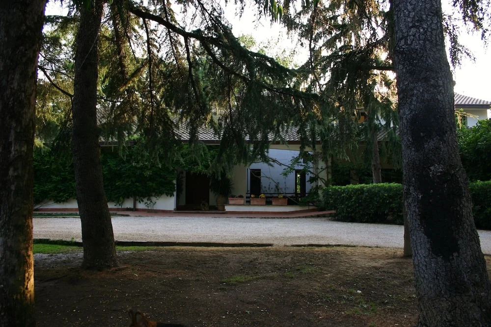 Green Oasis B&B