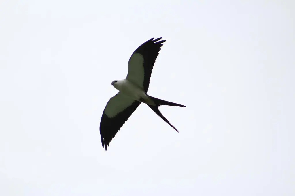 Elegant Home in Private Ecological Property, with Private River - Bird Watching 240 Bird Species
