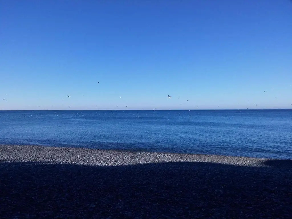 Seaview Apartment Kobuleti