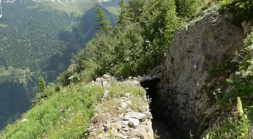 Kollerhof