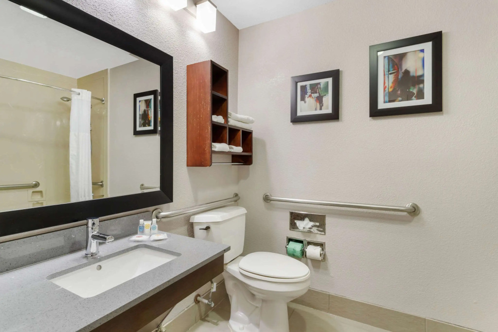 Comfort Suites Shenandoah-The Woodlands