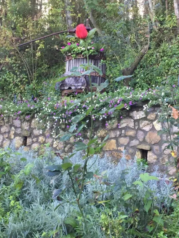 Il Casale Del Mirto