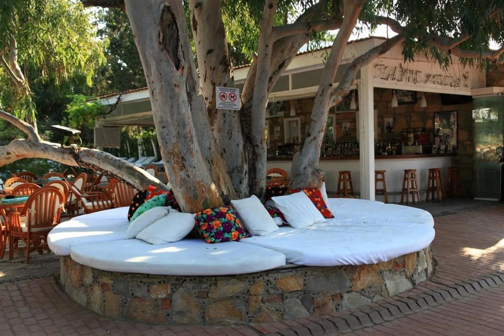 Okaliptus Otel