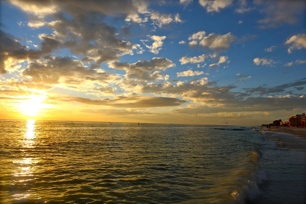 Shoreline Island Resort