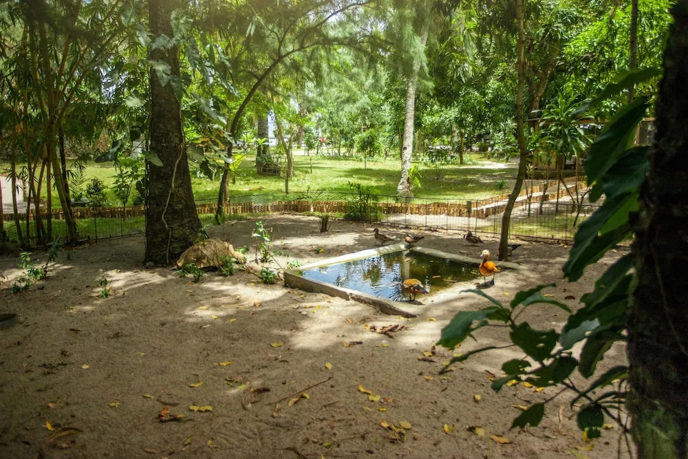 Kafolo Lagoon