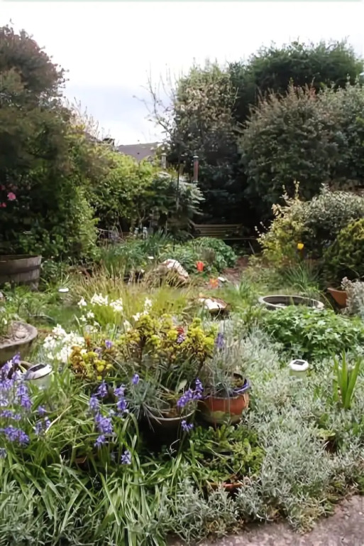 Mere Cottage B&B