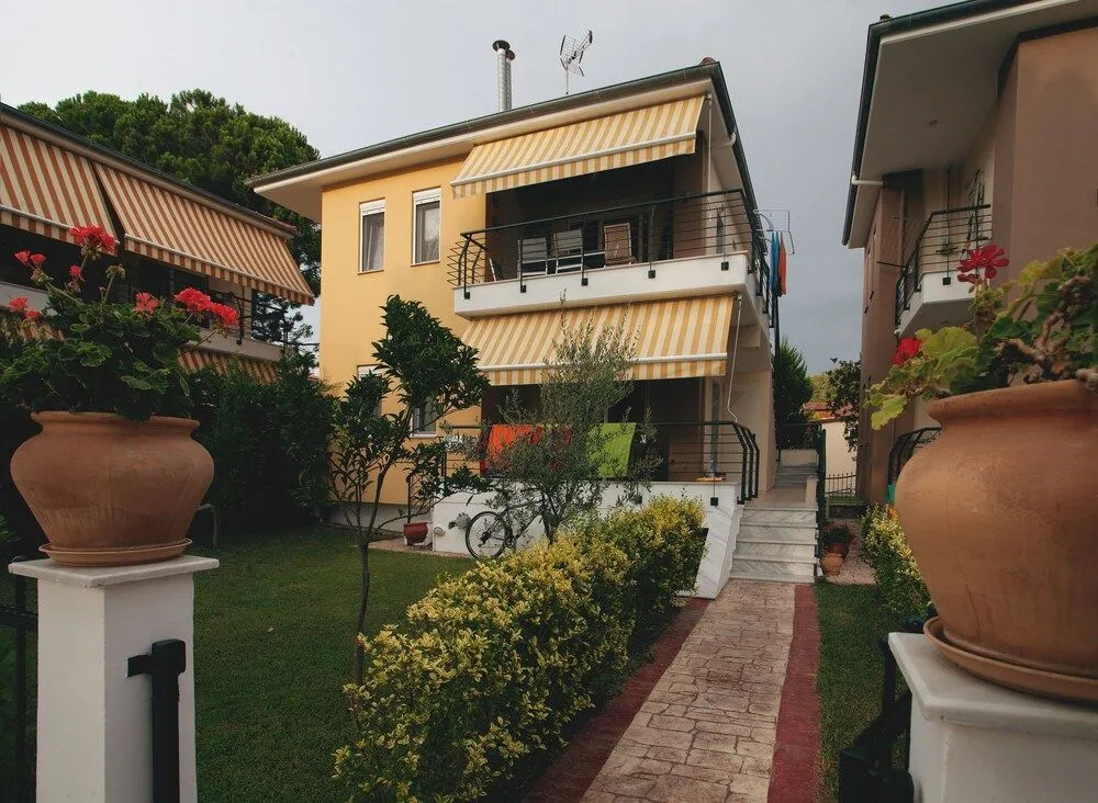 Olive Village