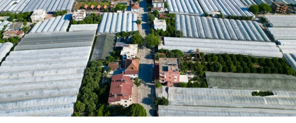 Benlikya Houses