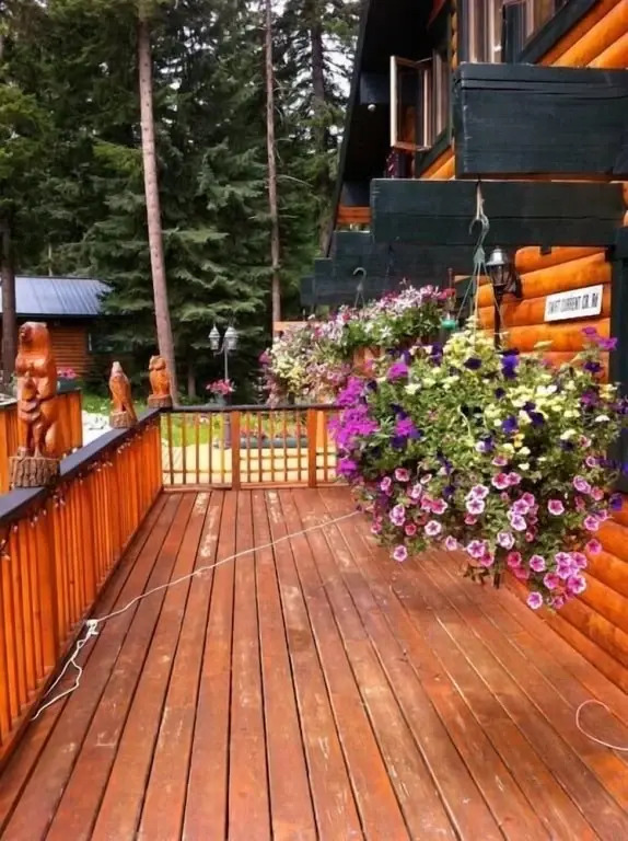 Mount Robson Lodge