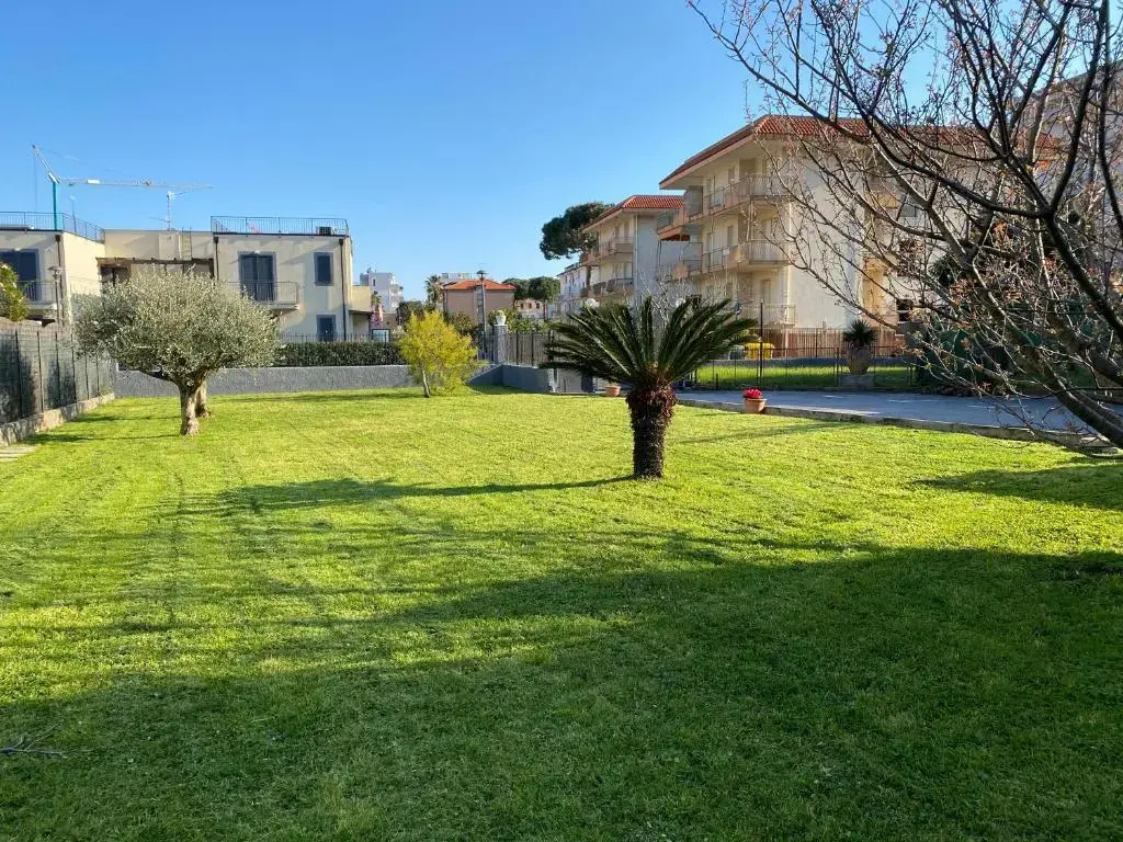 I fiori di Pietra 2