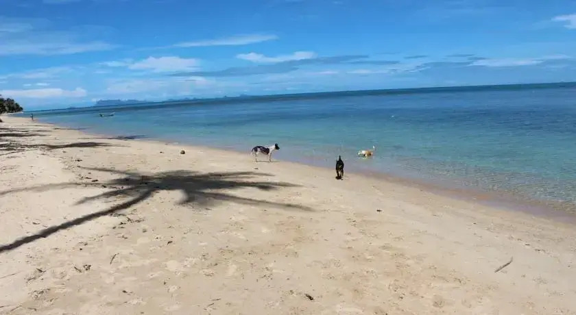 Bungalow Samui Ocean View