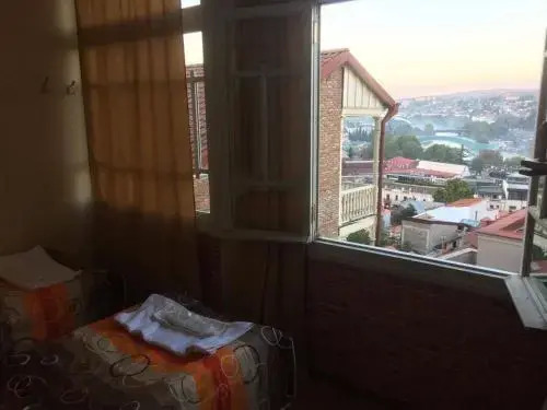 Hostel Temuri