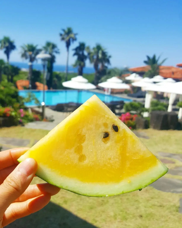PalmValley Pool Villa Resort