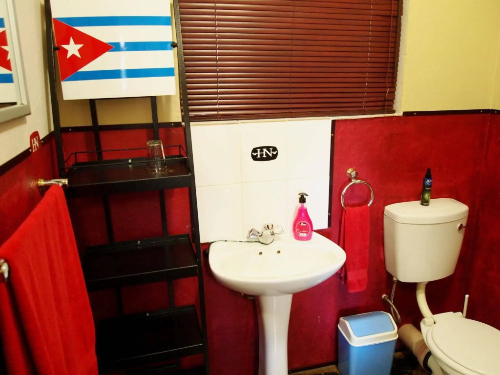Havana Nights