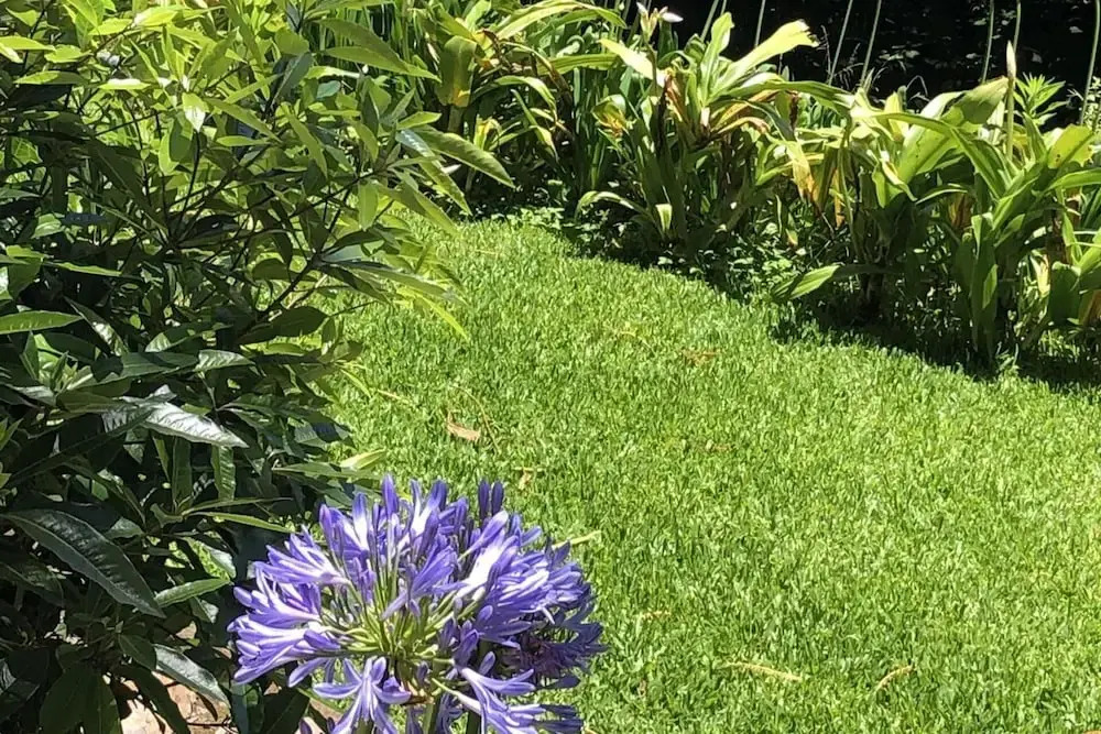 Villa-sleeps2-garden-private park