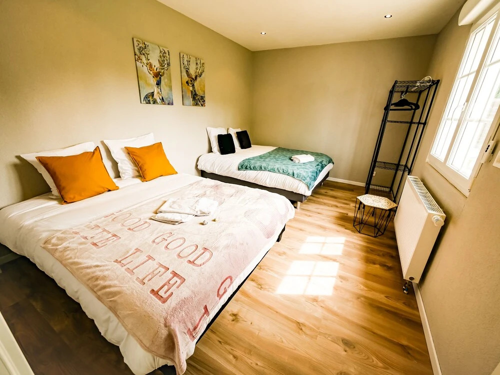 Gites Spa Strasbourg - Villa Lion - SPA Privé, Sauna, Borne darcade, Babyfoot
