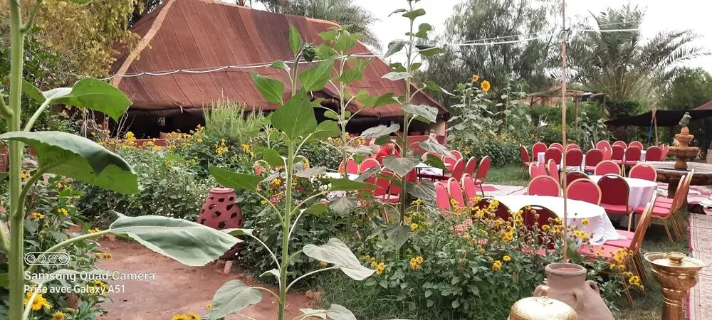 Paradise in the southern desert Morocco