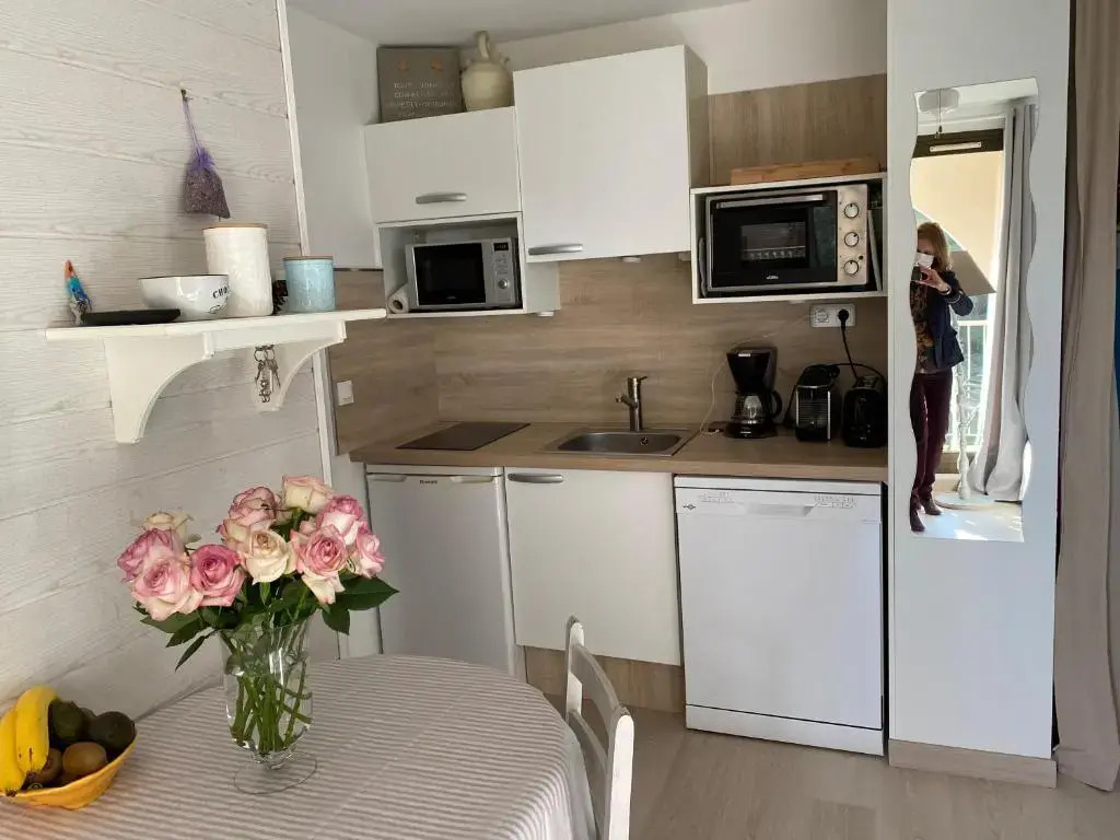 Appartement vue mer-domaine privé