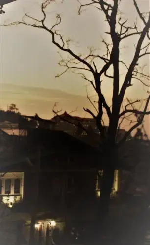 Prakash Cottage Shimla