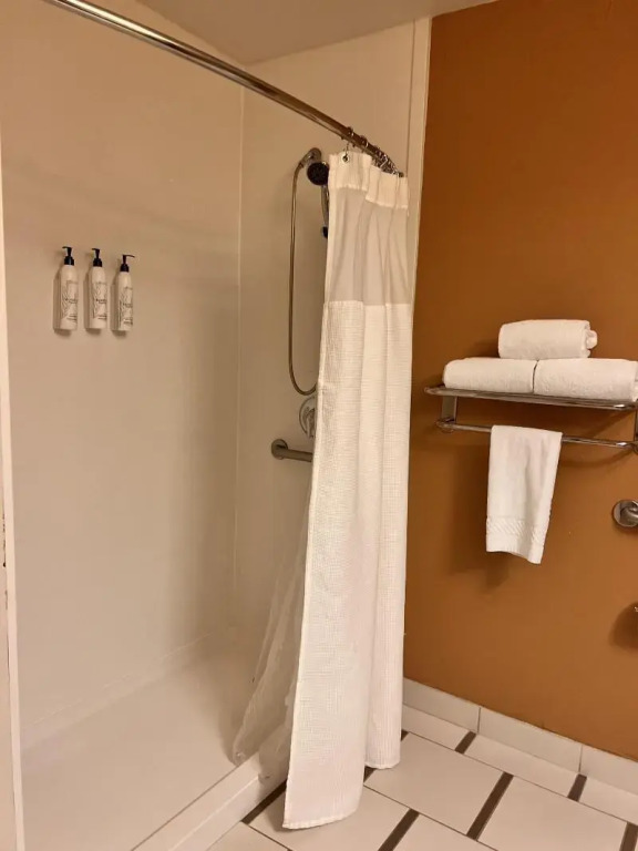 Fairfield Inn and Suites by Marriott Atlanta Suwanee