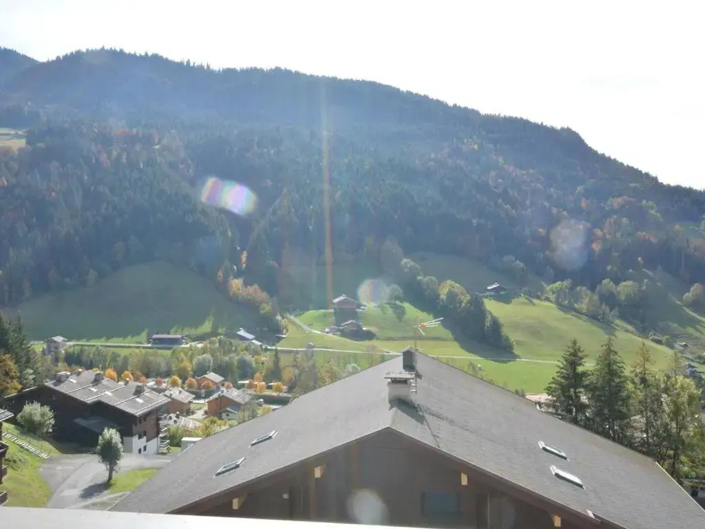 Appartement Le Grand-Bornand, 1 pièce, 4 personnes - FR-1-241-221
