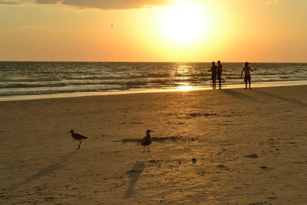 Island House Beach Resort 9N by RedAwning