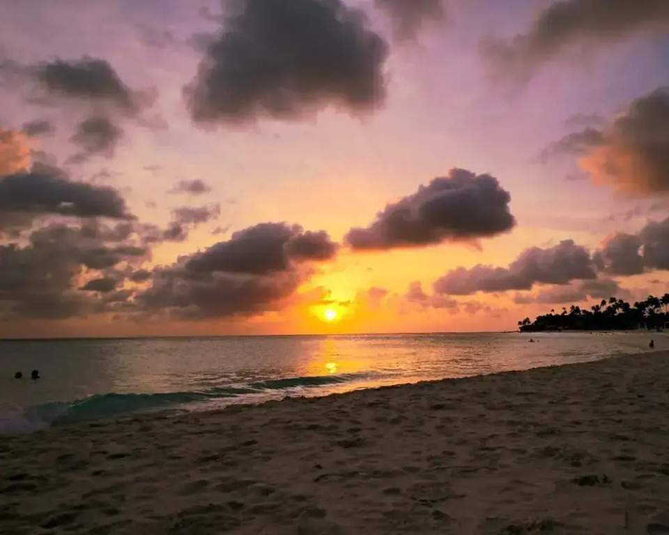 Eagle Stays Aruba