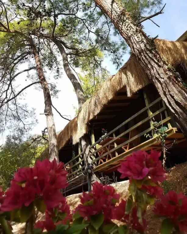 Yavansu Çi̇ftli̇ği̇
