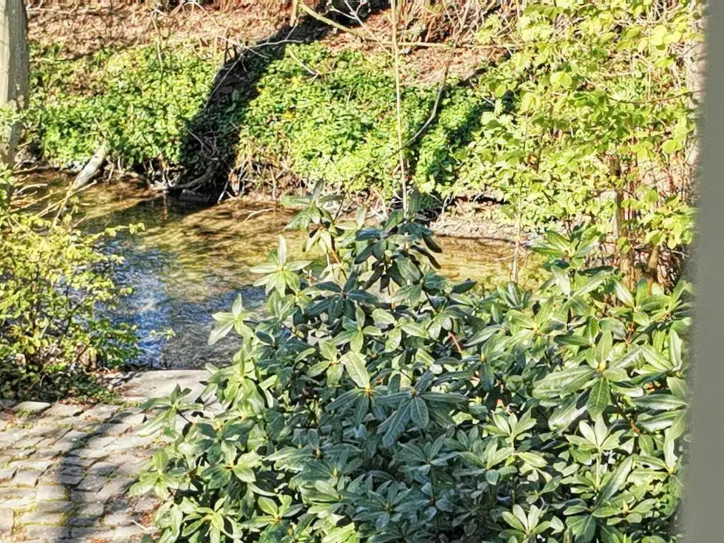 HR Cottage am Honigbach