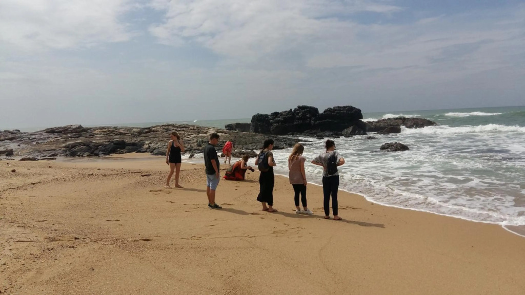 Turtle Watch Cabana