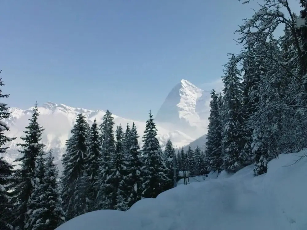 Pension Gimmelwald