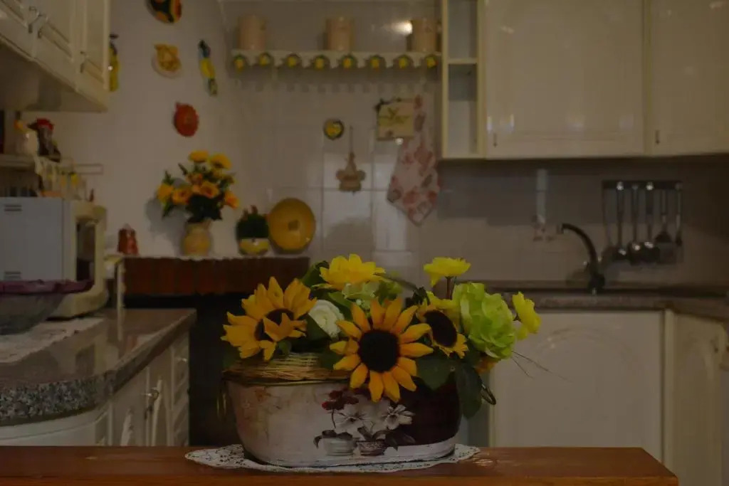 casa vacanze I GIRASOLI