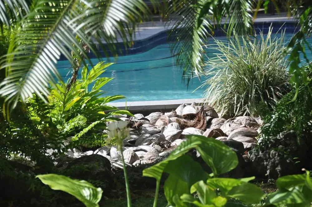 Arcadia Retreat Rarotonga
