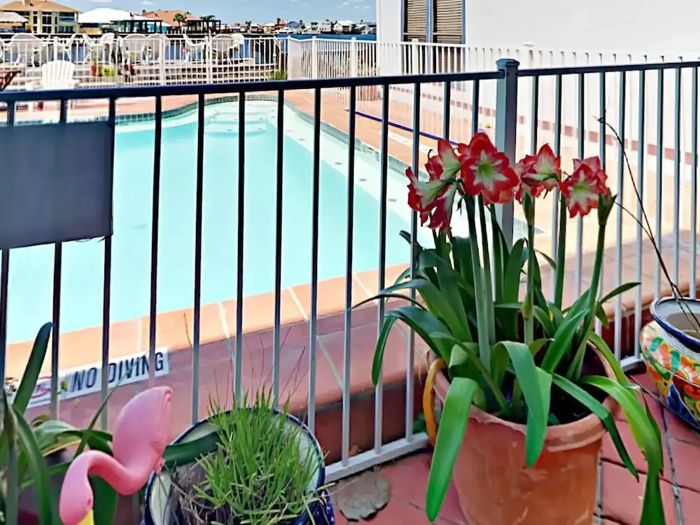 Fortuna Bay 1 - One Bedroom Condo