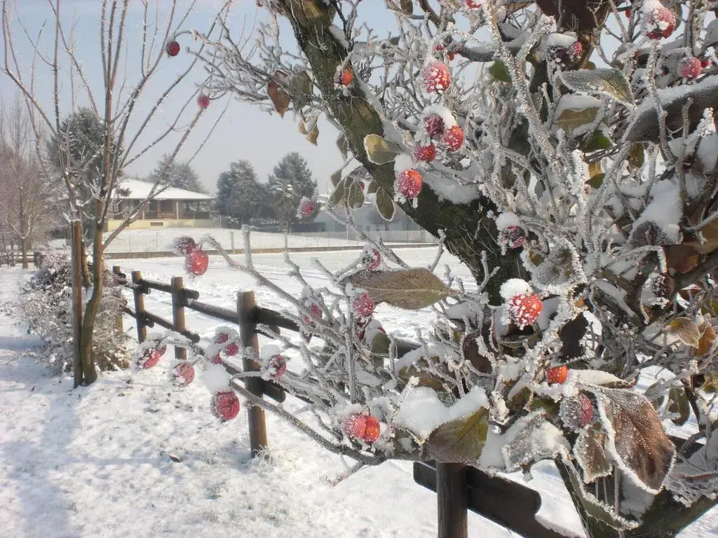 Bed and Breakfast All'antico Brolo