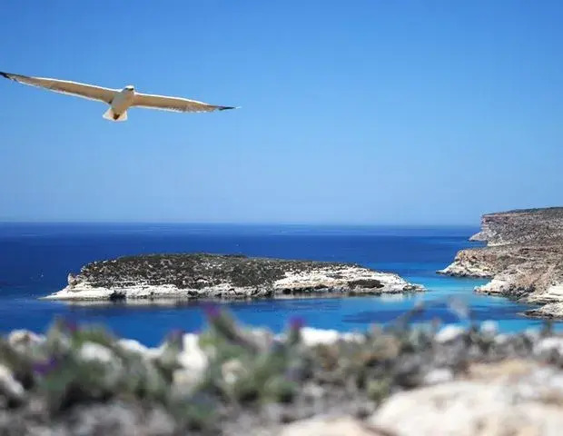 Villette Cala Galera