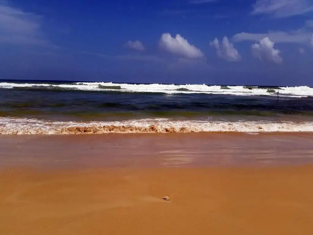 Crystal Oceanic