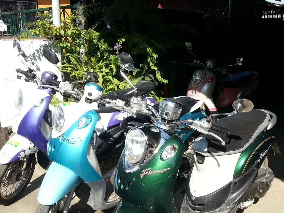 Baifern Guesthouse