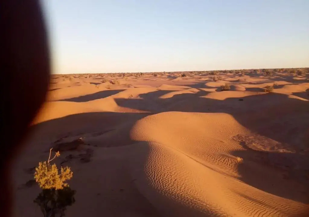 Desert Eyes