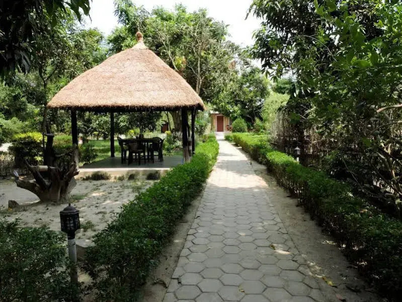 Jungle Heaven Hotel and Cottage