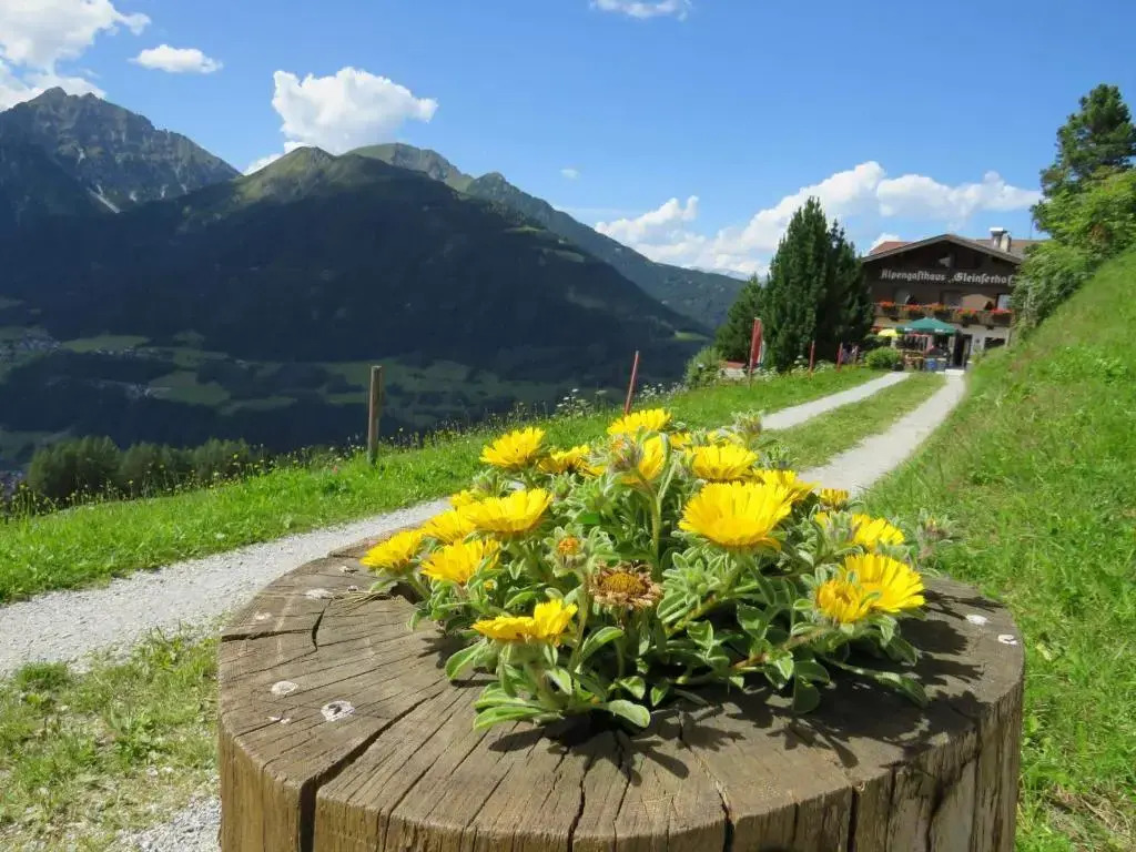 Alpengasthaus Gleinserhof