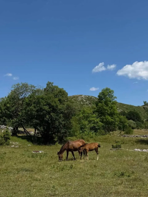 Guest House Ethno Village Milogora