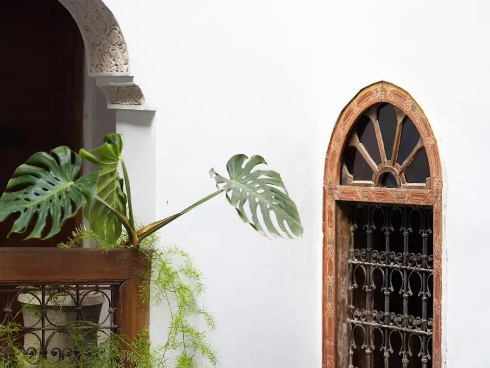 Riad 9 Fez